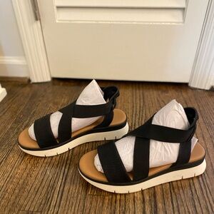 Black Susina Sandal Size 7.5